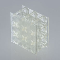 BASF - Ultracur3D FL 60 - 1 kg