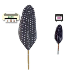 Vaessen Creative Plastique Fou Imprimable Transparent