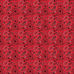 Cricut - Infusible Ink - Lot de 4 Feuilles  - Amour de l'ouest - 30 x 30 cm